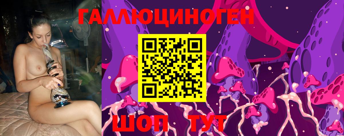 Галлюциногенные грибы Psilocybine cubensis Кулебаки